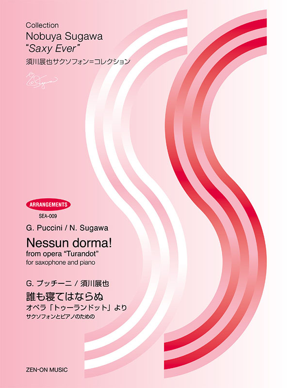 〈外国語書籍〉バヤズィト2世 ／マトゥラークチュ・ナスーフ BACK TO THE GROUND/鵜島仁文 H2 OP2(1995年~1996年